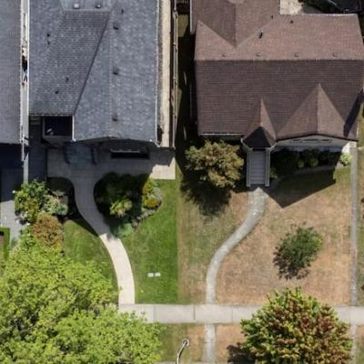 In a sea of brown lawns, why some natural gardeners are bringing messy back