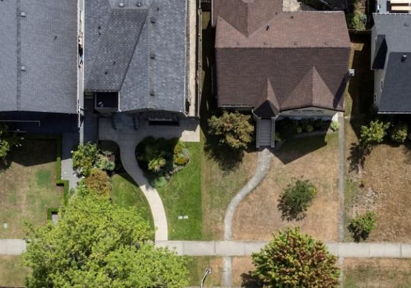 In a sea of brown lawns, why some natural gardeners are bringing messy back